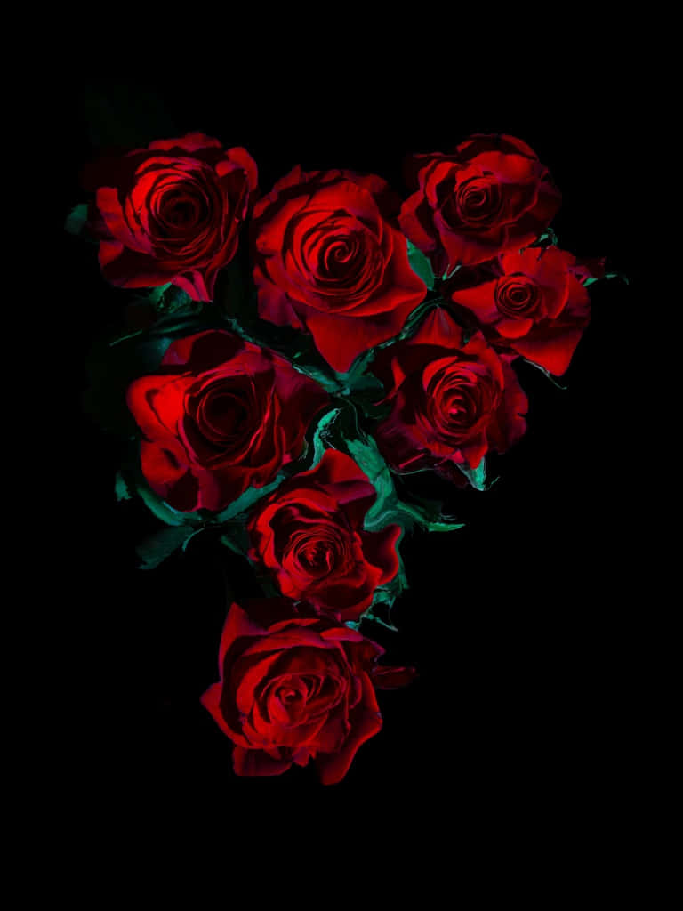 Red Flower Aesthetic, vibrant red roses, deep green stems, SD Phone Wallpaper