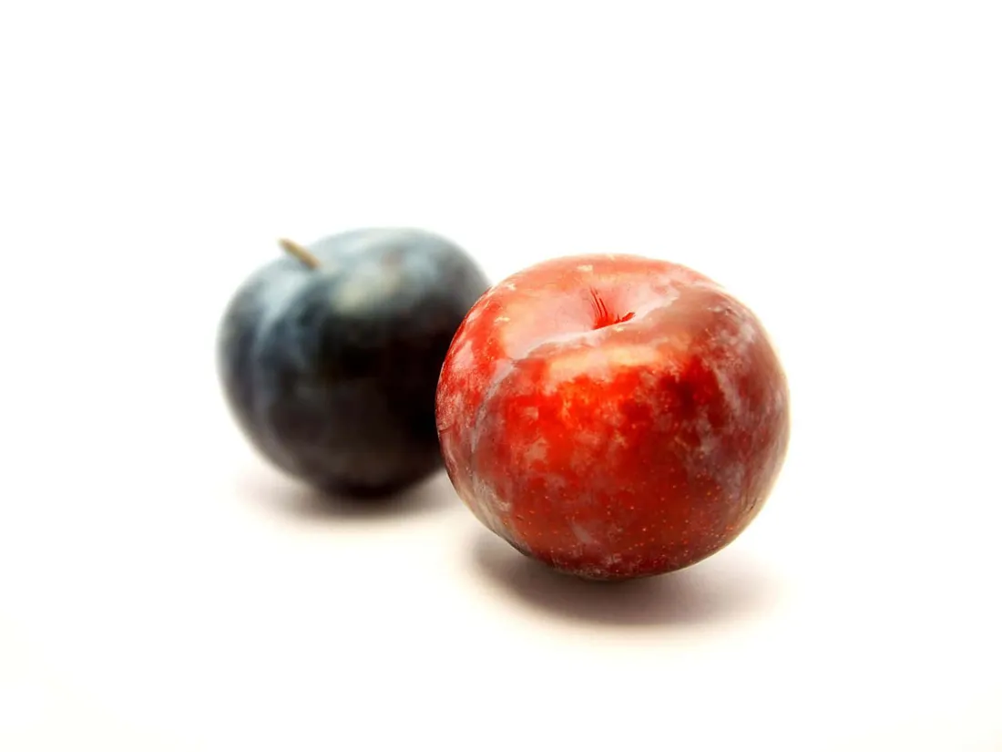Red Fruit