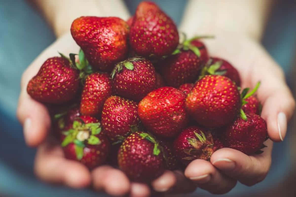 red fruit, strawberries, red, SD Desktop Wallpaper