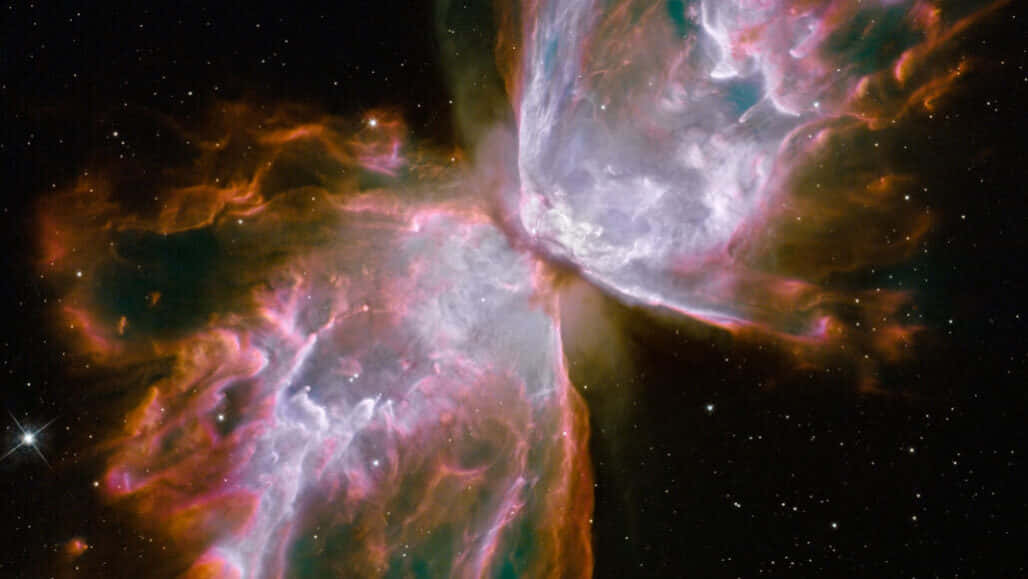 Red Giant, pink orange, teal, SD Desktop Wallpaper