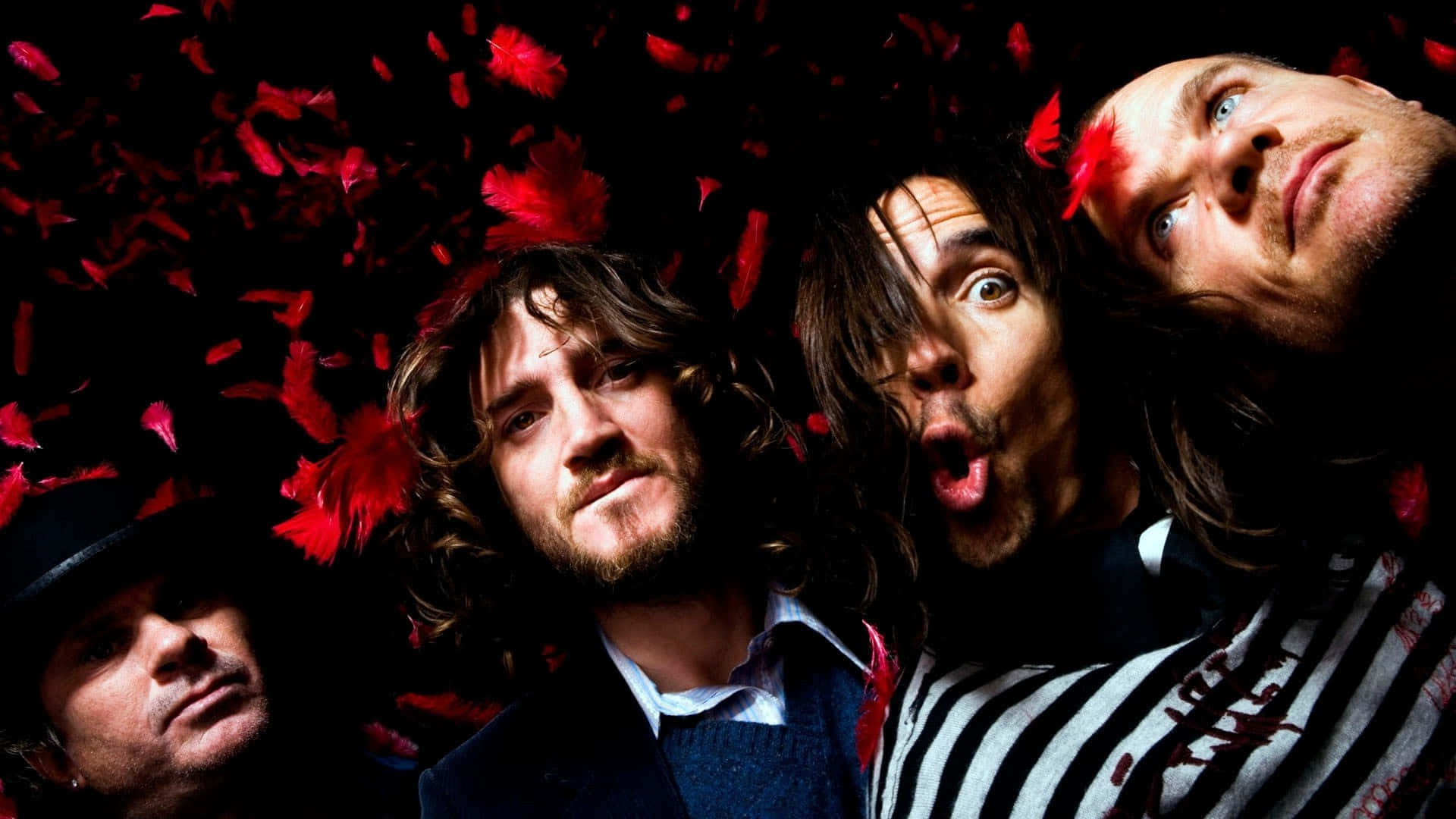 Red Hot Chili Peppers, red petals, black background, Full HD Desktop Wallpaper