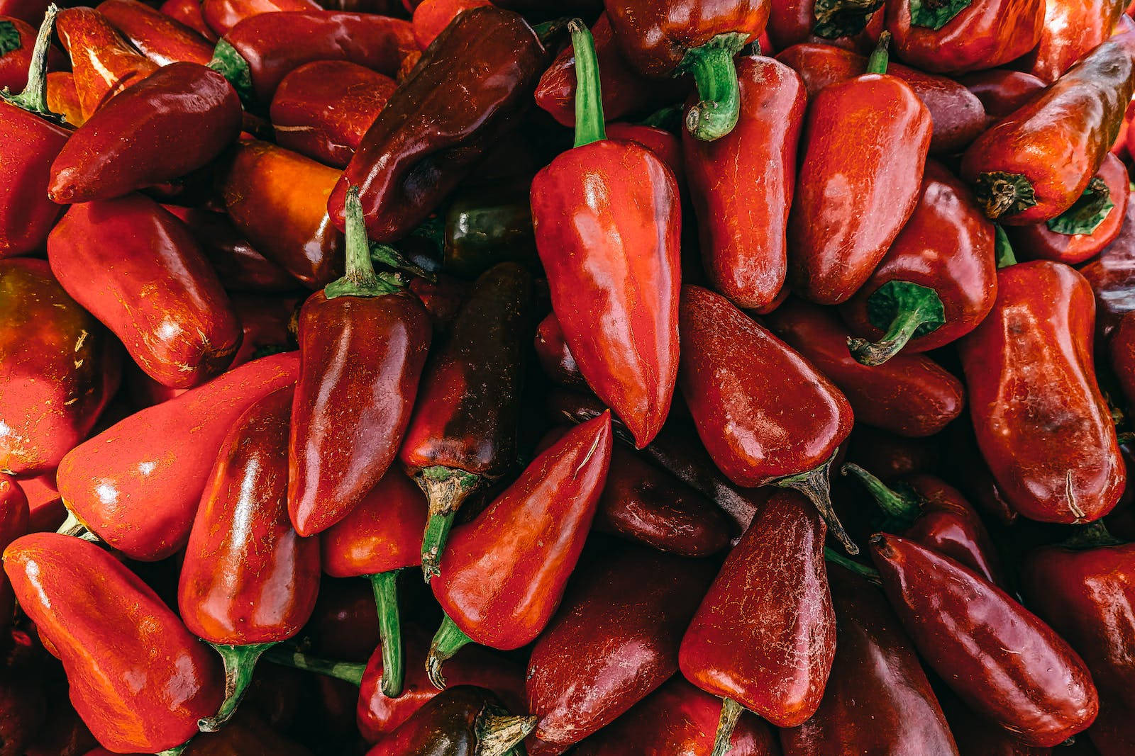 red color chili peppers, glossy red chili peppers, orange chili peppers, HD Desktop Wallpaper