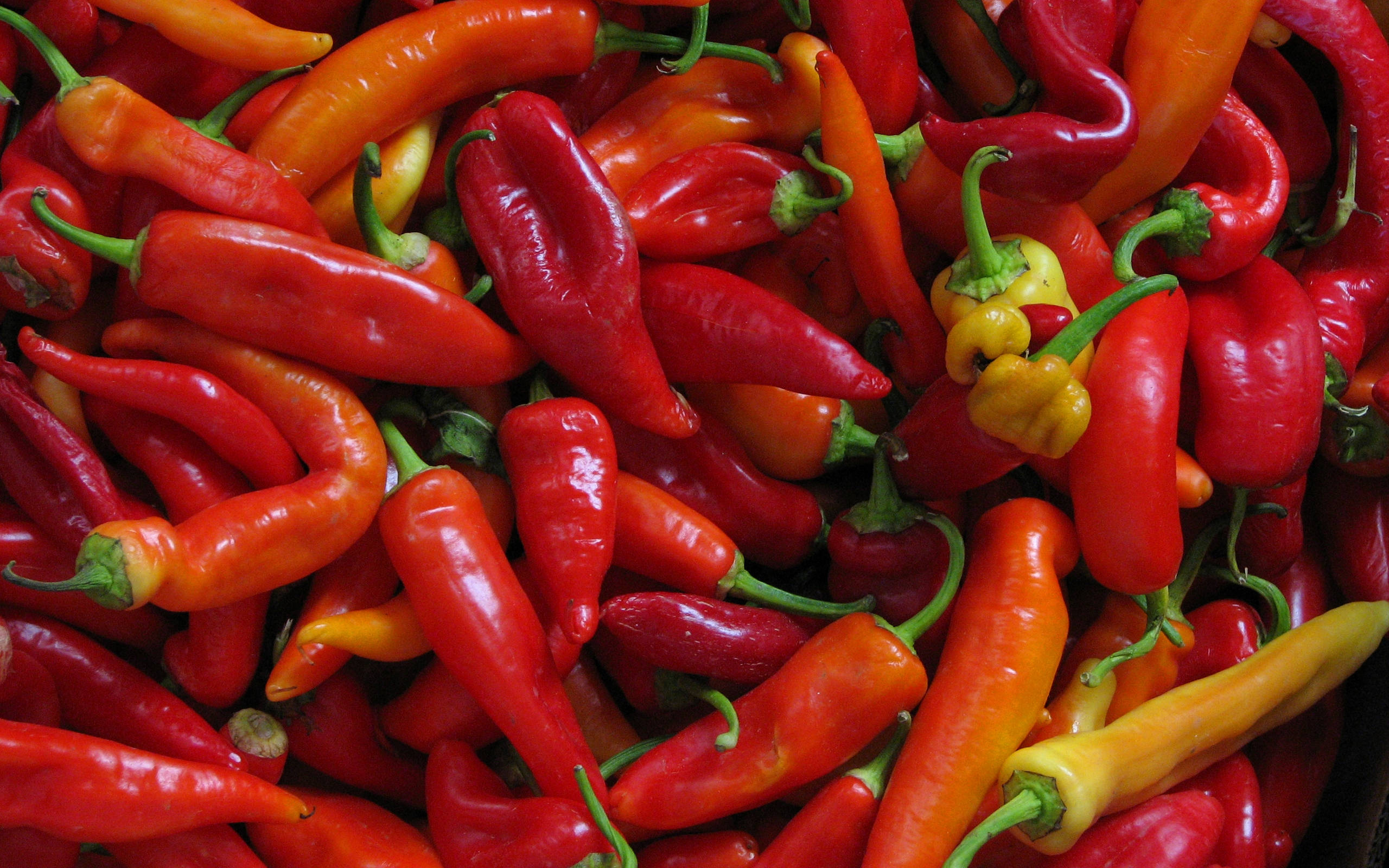 thin chili pepper spices, glossy red orange, yellow chili peppers, 2K Desktop Wallpaper