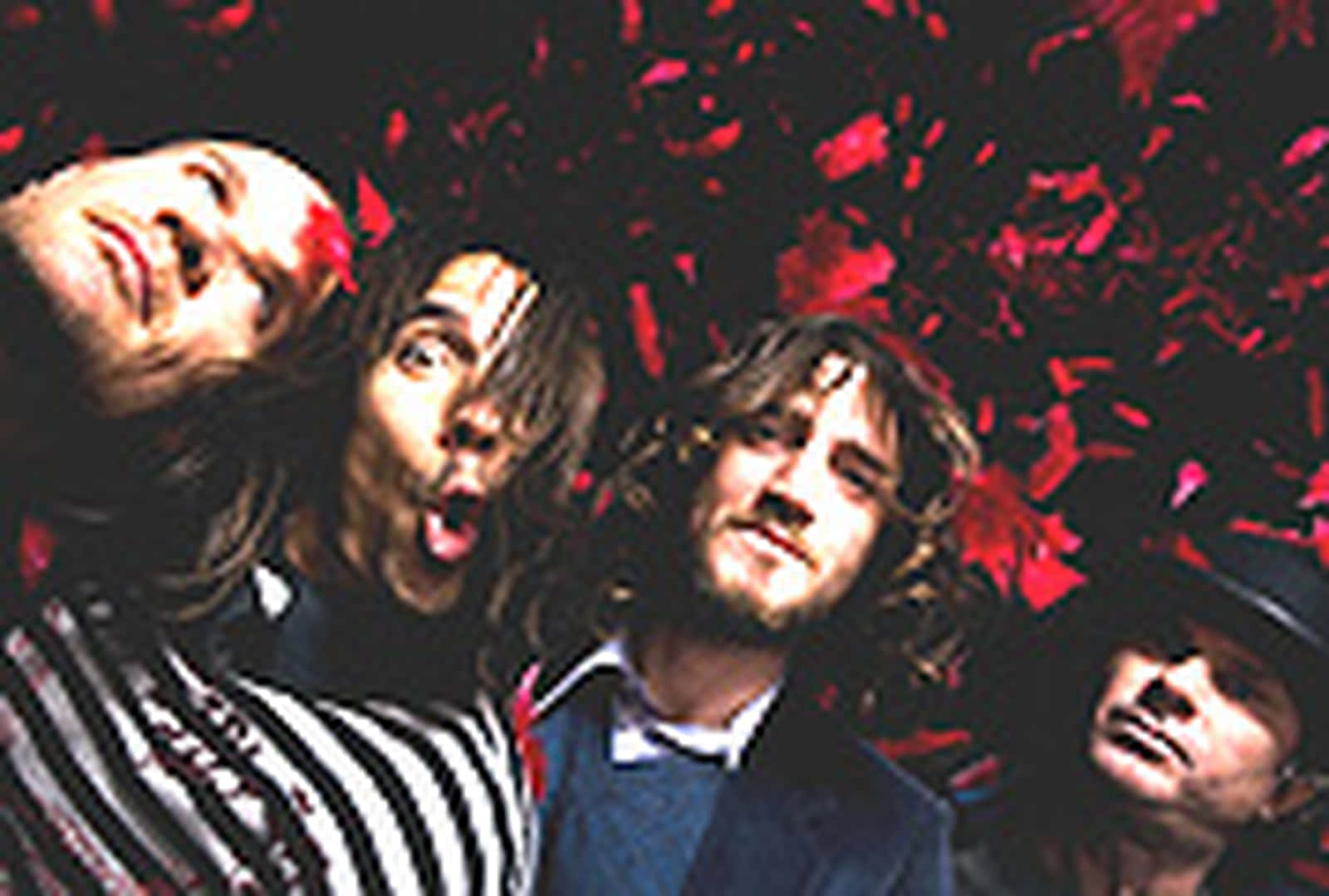 Red Hot Chili Peppers, red petals, dark background, HD Desktop Wallpaper