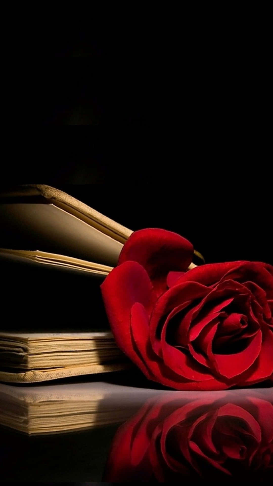 Red iPhone X, vivid red rose, open book, Full HD Phone Wallpaper
