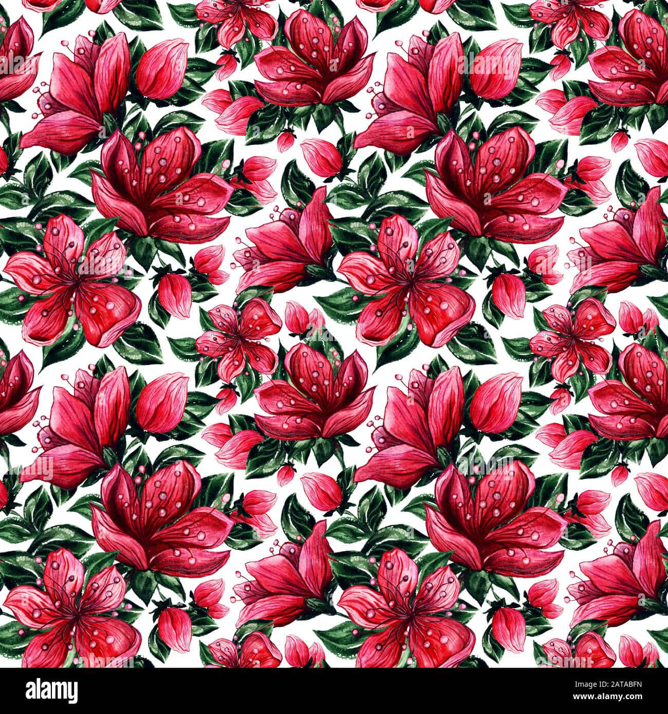 Red Japanese, vibrant red flowers, dewdrops, HD Phone Wallpaper