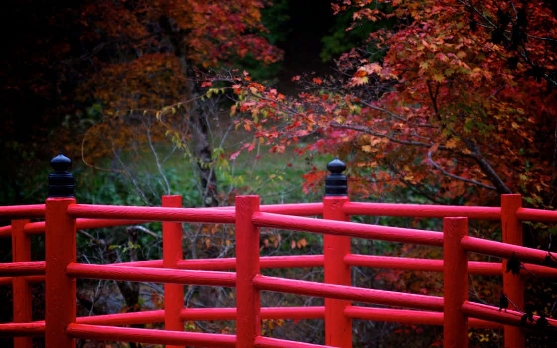 red wooden bridge, black finials, autumn foliage, SD Desktop Wallpaper