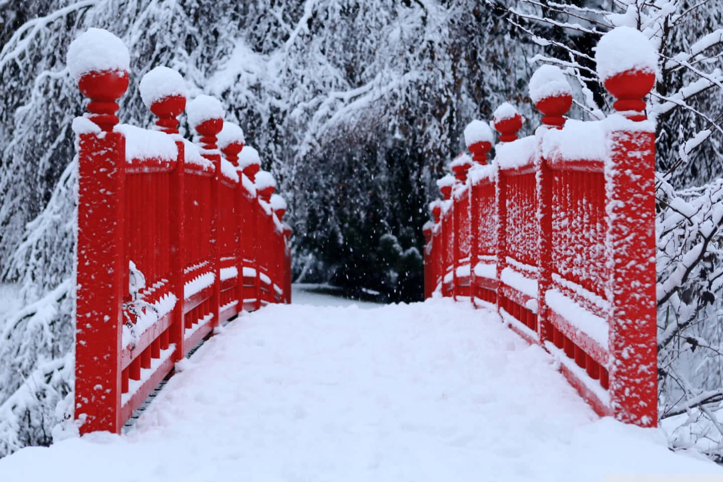 vibrant red, wooden bridge, fresh snow, HD Desktop Wallpaper