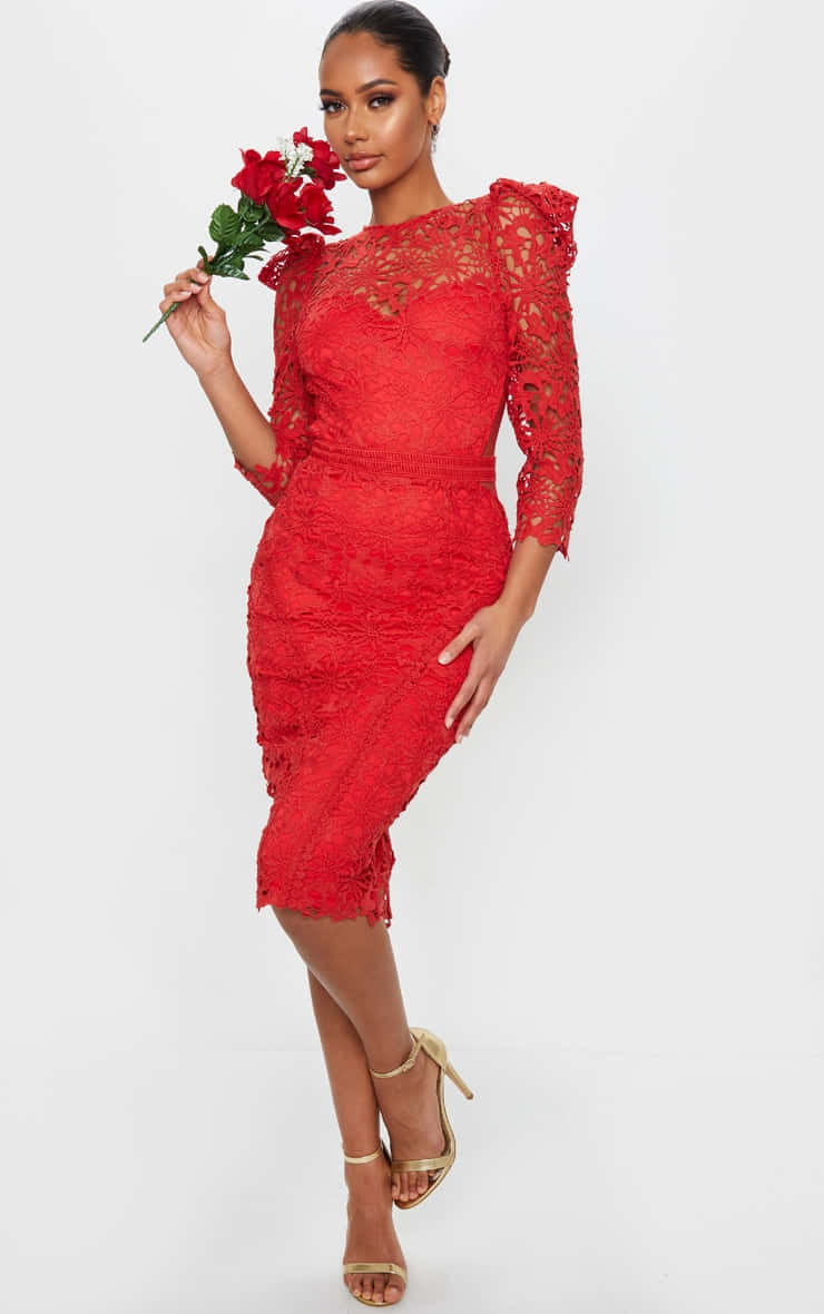 Red Lace Dress, red roses, white background, SD Phone Wallpaper