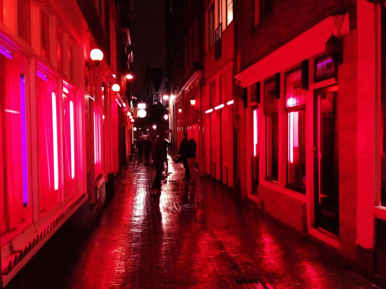 Red Light District, neon lights, wet alley, HD Desktop Wallpaper