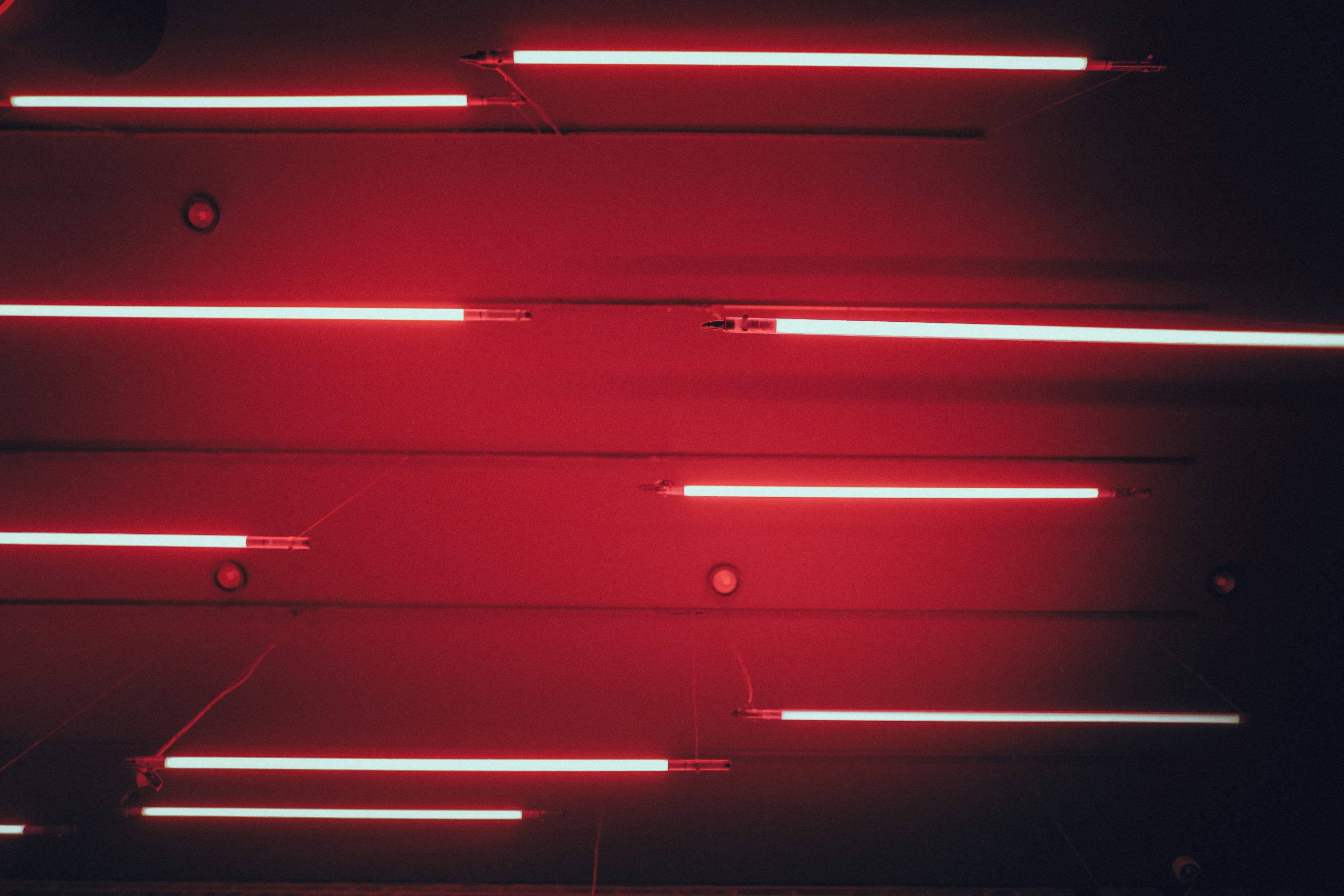 red aesthetic neon light lines, neon tubes, dark ceiling, 2K Desktop Wallpaper