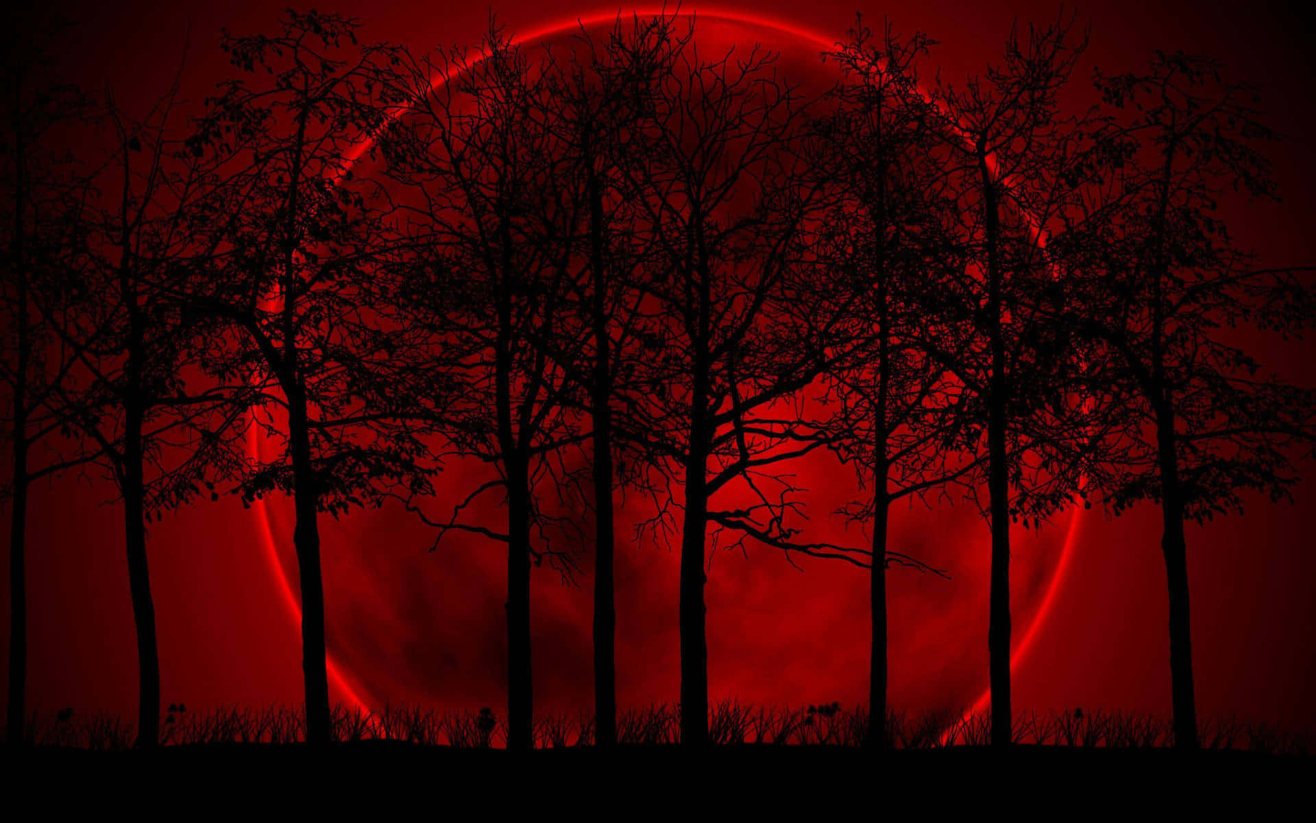 red moon, trees, eclipsed sun, Full HD Desktop Wallpaper