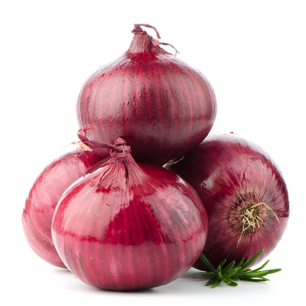 red onion, rosemary, glossy, SD Desktop Wallpaper