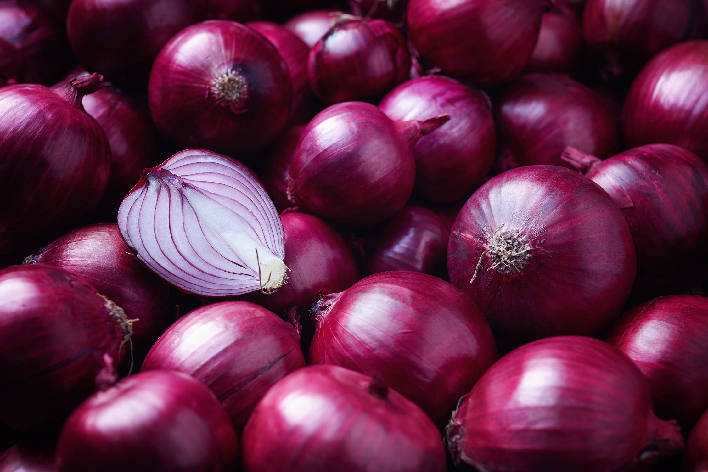 Red Onion, glossy red onions, sliced open, Full HD Desktop Wallpaper