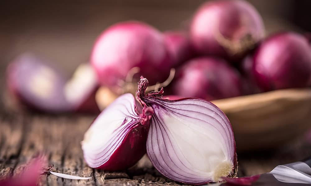 red onion, purple, white, SD Desktop Wallpaper