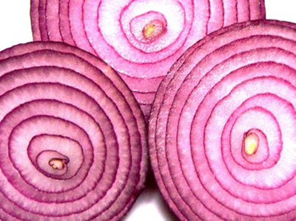 red onion, concentric rings, pale centers, SD Desktop Wallpaper