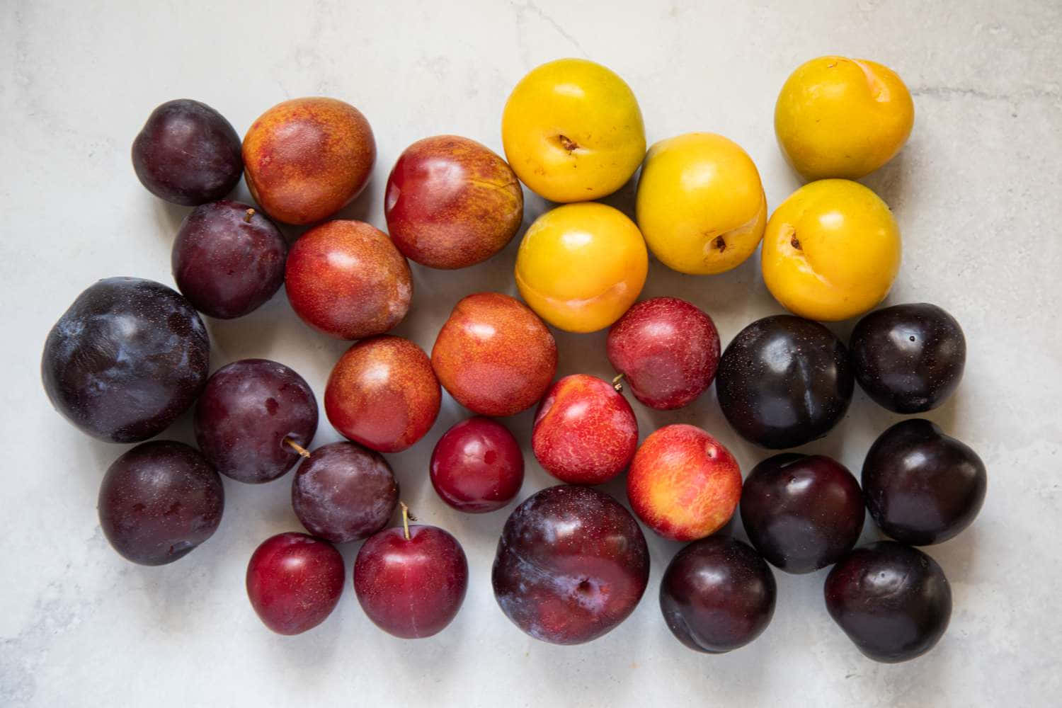 Red Plum, plums, apricots, HD Desktop Wallpaper