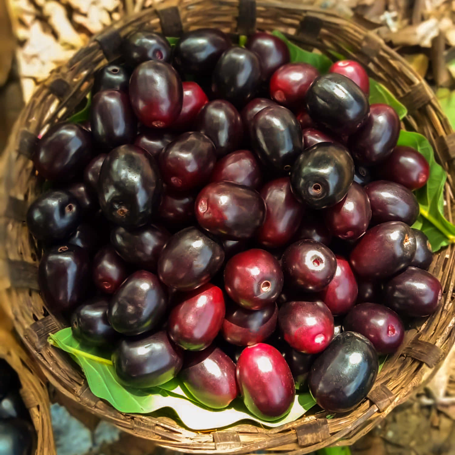 Red And Purple Java Plums, woven basket, glossy dark purple jujubes, HD Desktop Wallpaper