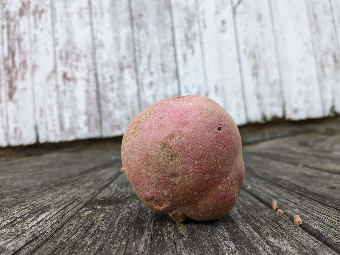 Red Potatoes