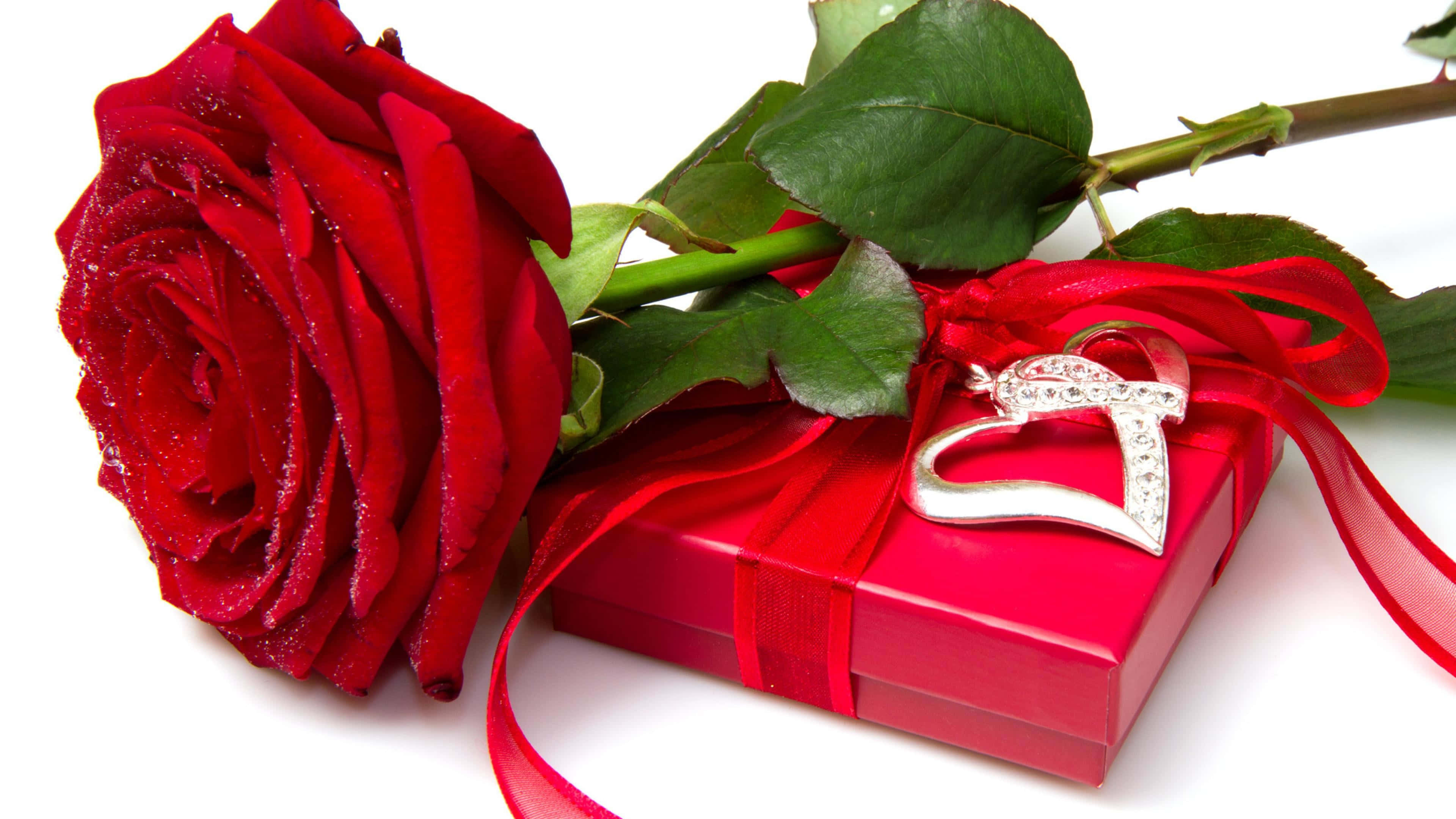 Red Rose, gift box, ring, 4K Desktop Wallpaper