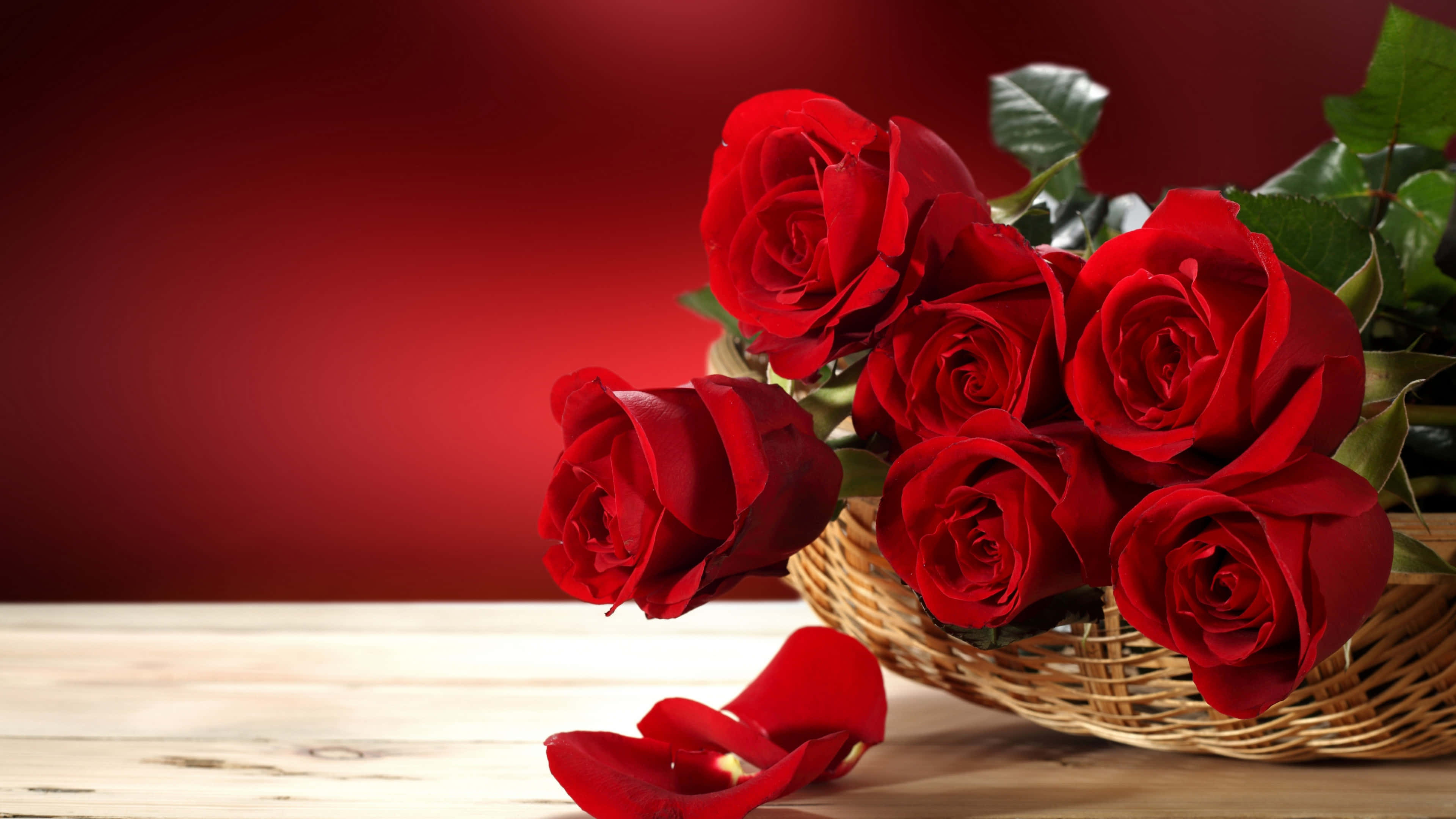 Red Rosesin Basket4 K, vibrant red roses, fallen petals, 4K Desktop Wallpaper