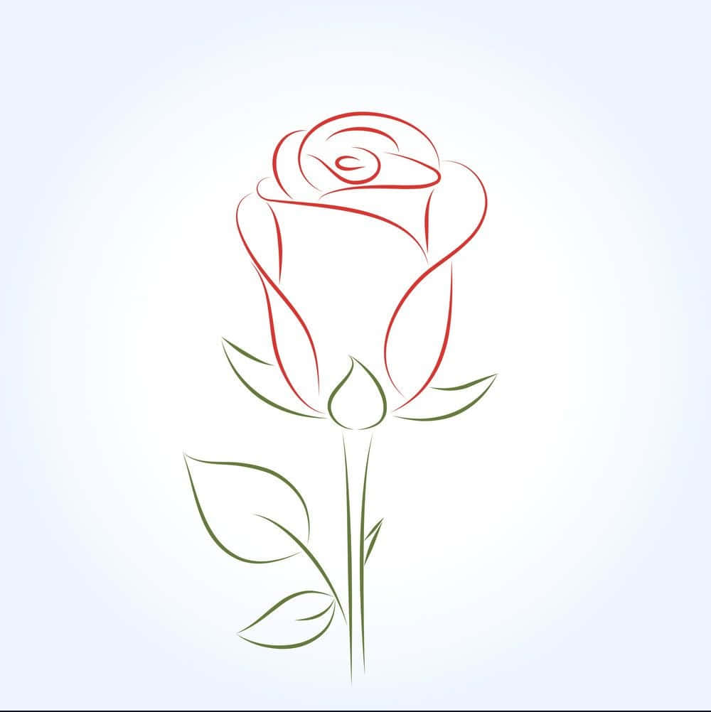 red rose, green stem, leaves, SD Phone Wallpaper