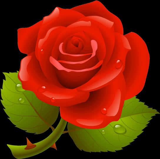 Red Rose, dew drops, stark black background, SD Desktop Wallpaper
