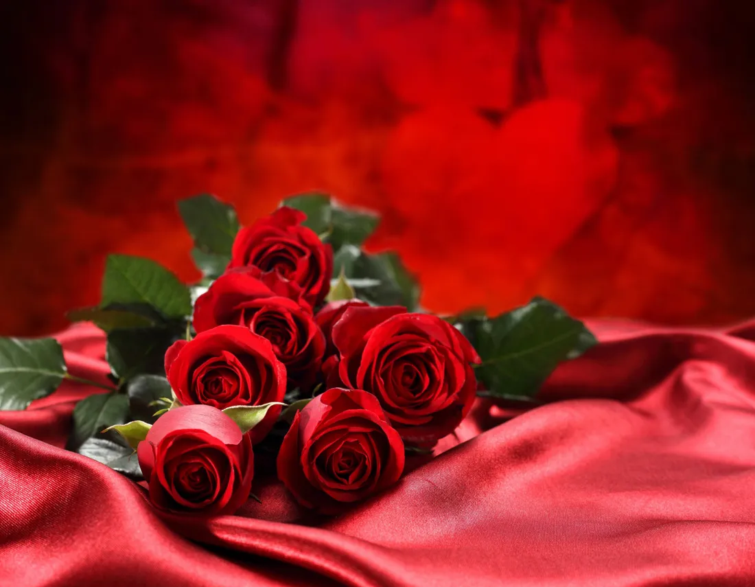 Red Rose Aesthetic