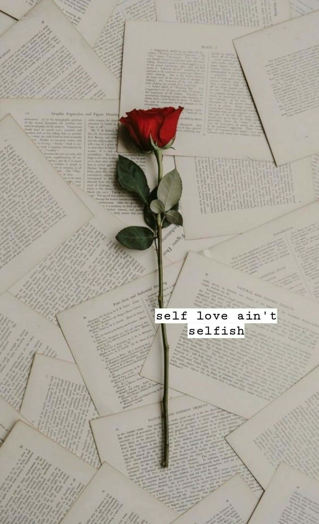 red rose, vintage book pages, self love ain't selfish, HD Phone Wallpaper