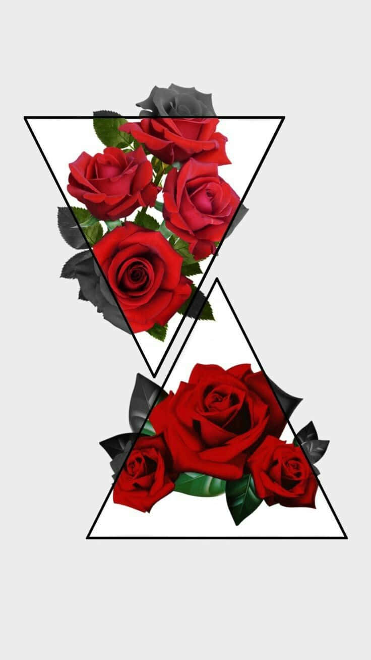 Red Rose Aesthetic, vibrant red roses, black leaves, HD Phone Wallpaper