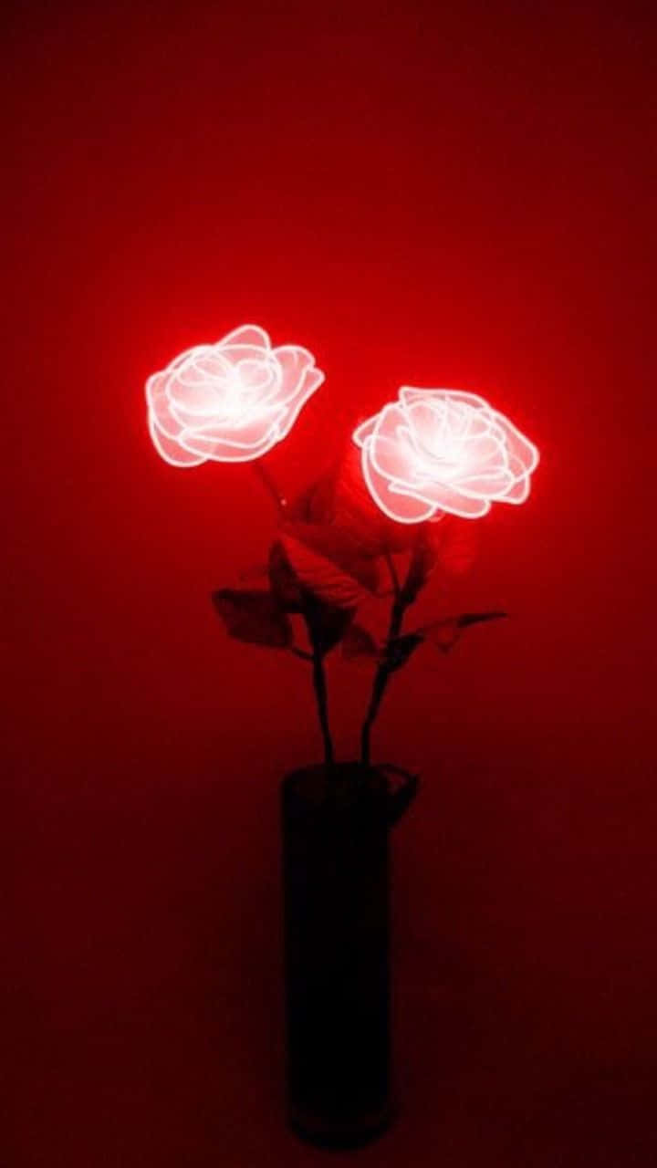 Red Rose Aesthetic, neon roses, dark vase, HD Phone Wallpaper