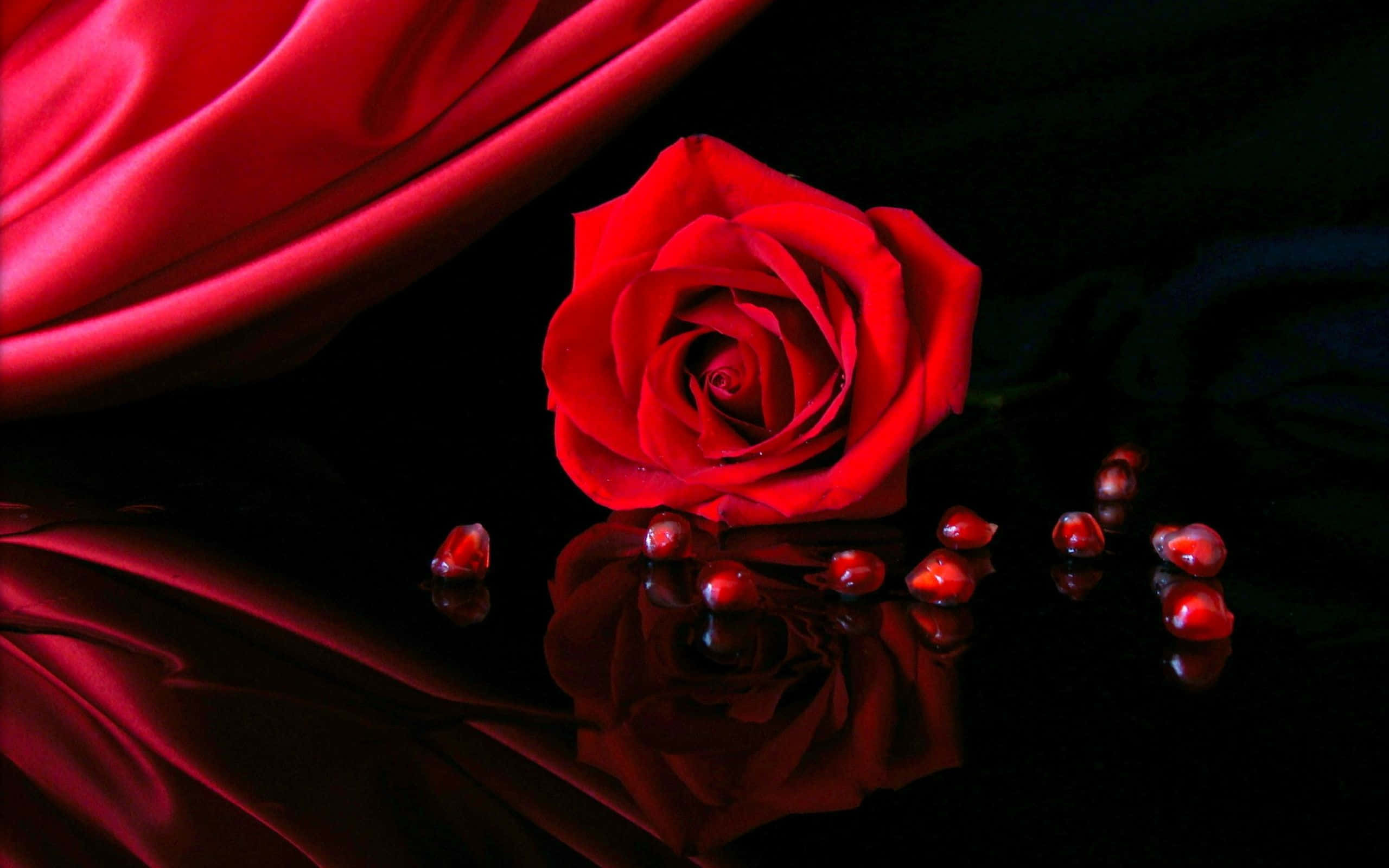 Red Rose Aesthetic, vibrant red rose, glossy black surface, 2K Desktop Wallpaper