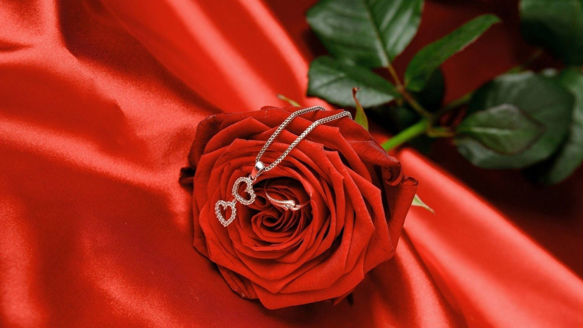 Love Rose Charm, silver heart-shaped necklace, vibrant red rose, Full HD Desktop Wallpaper