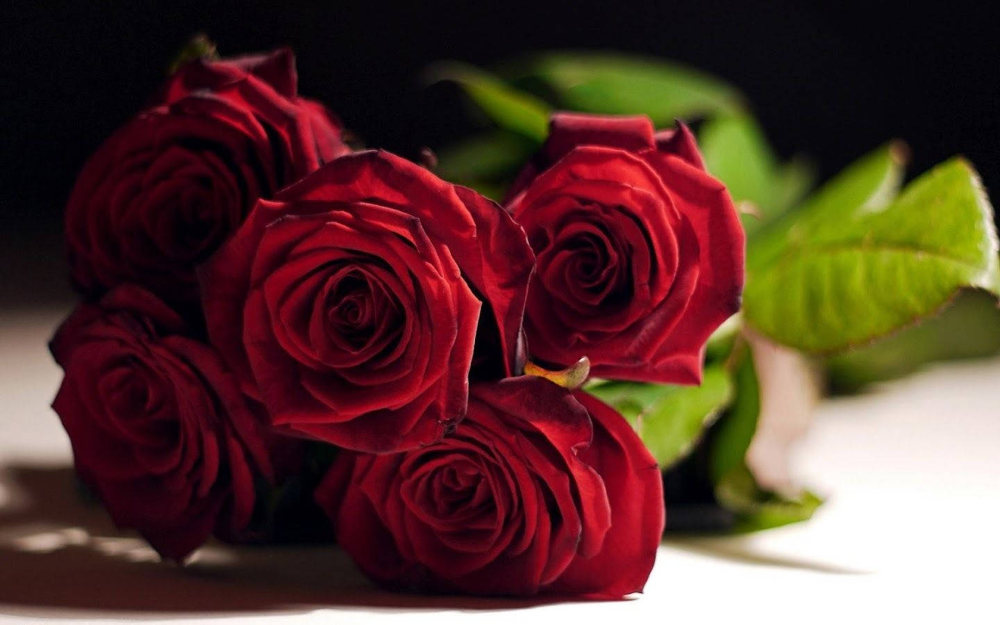 Red Roses, rich red roses, green leaves, HD Desktop Wallpaper