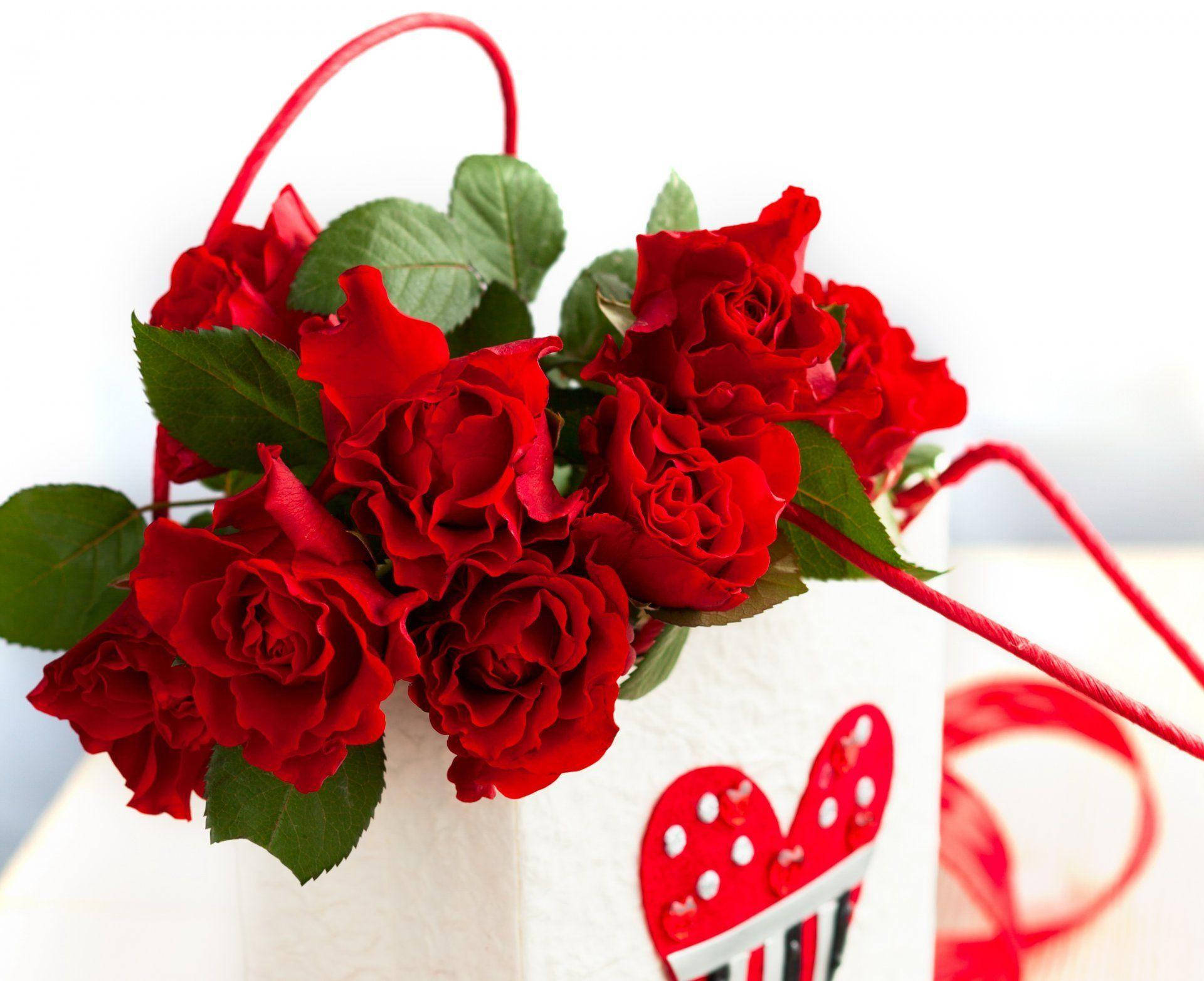 Love Rose Bag, red roses, white gift bag, Full HD Desktop Wallpaper