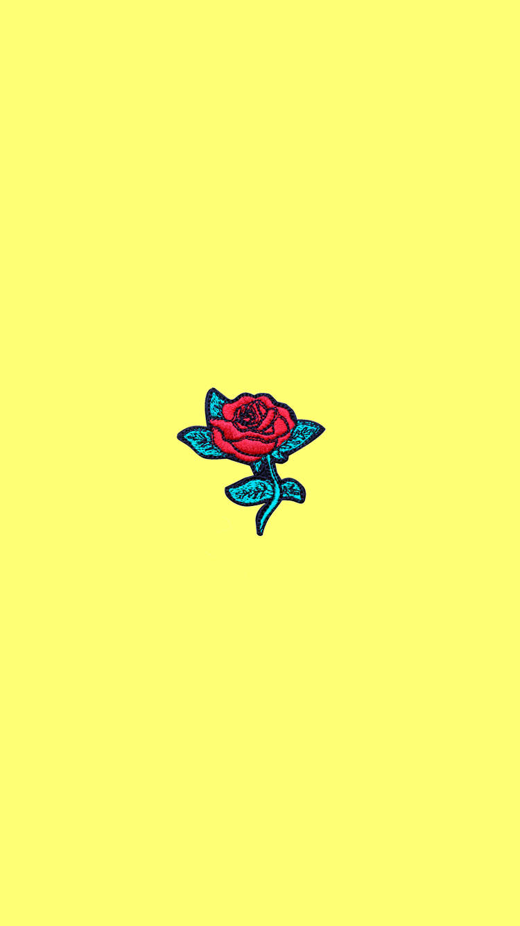 red rose, teal leaves, solid yellow background, HD Phone Wallpaper