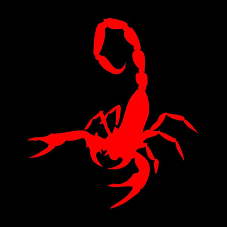 Red Scorpion, red scorpion silhouette, solid black background, SD Desktop Wallpaper