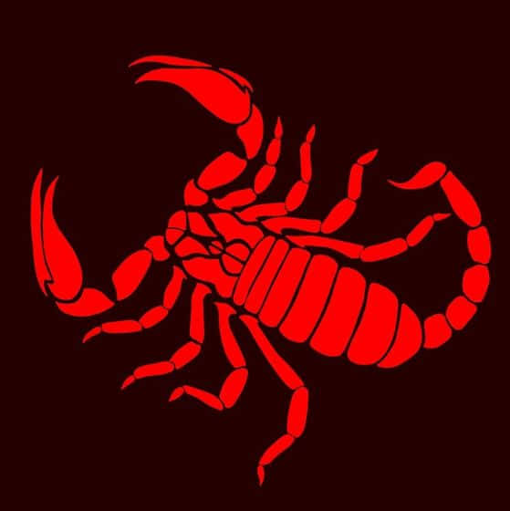 Red Scorpion, red scorpion silhouette, deep maroon background, SD Phone Wallpaper