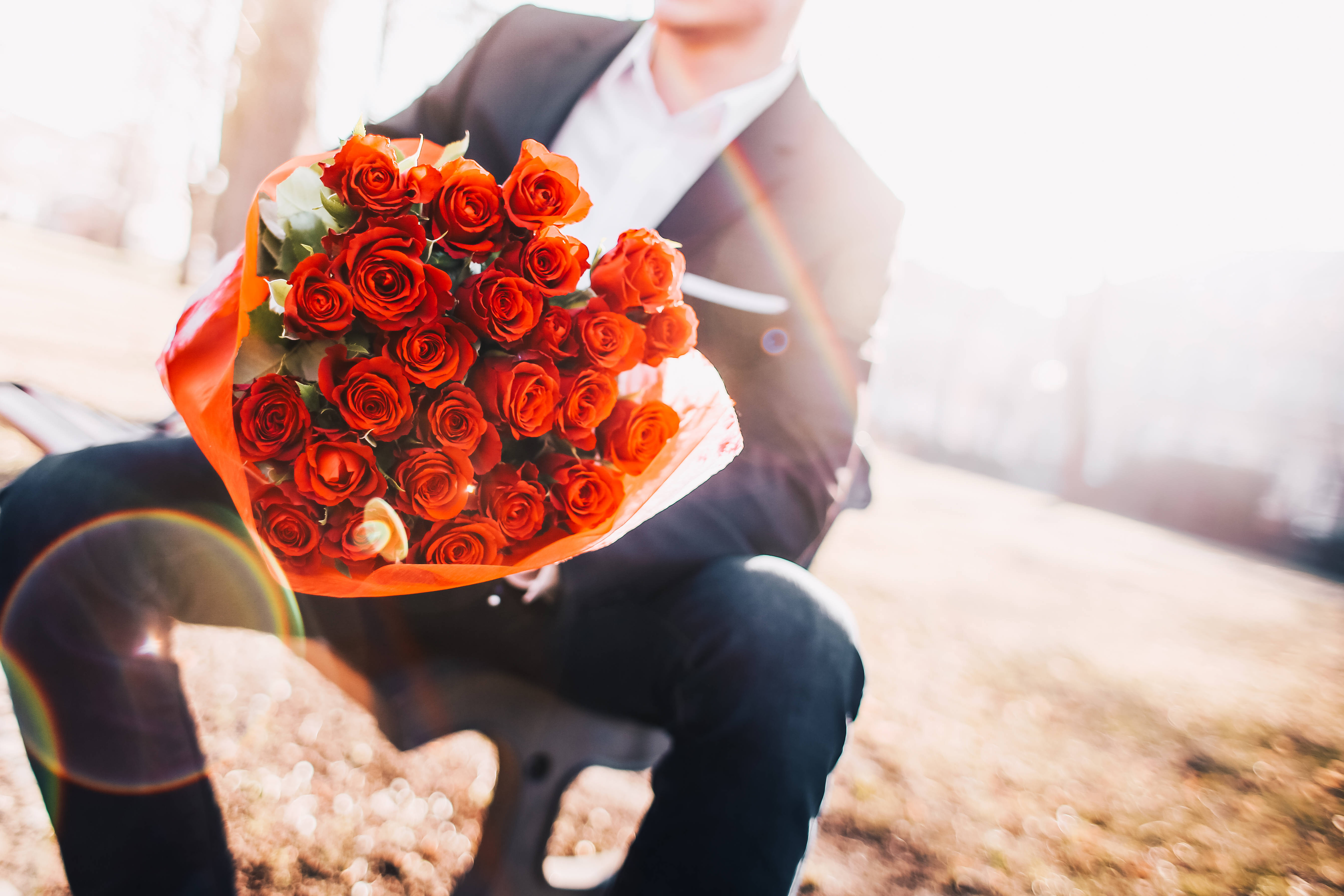 bouquet of red roses, red screen, sunlit outdoor backdrop, 5K Desktop Wallpaper
