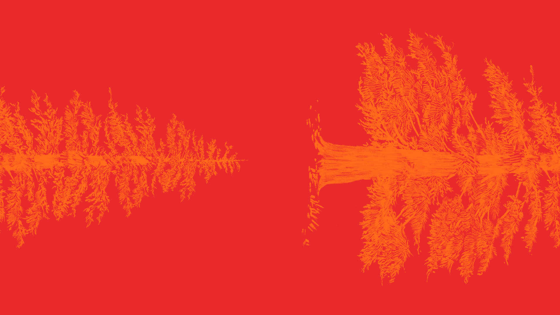 1920x1080, red gradient, vibrant red background, Full HD Desktop Wallpaper