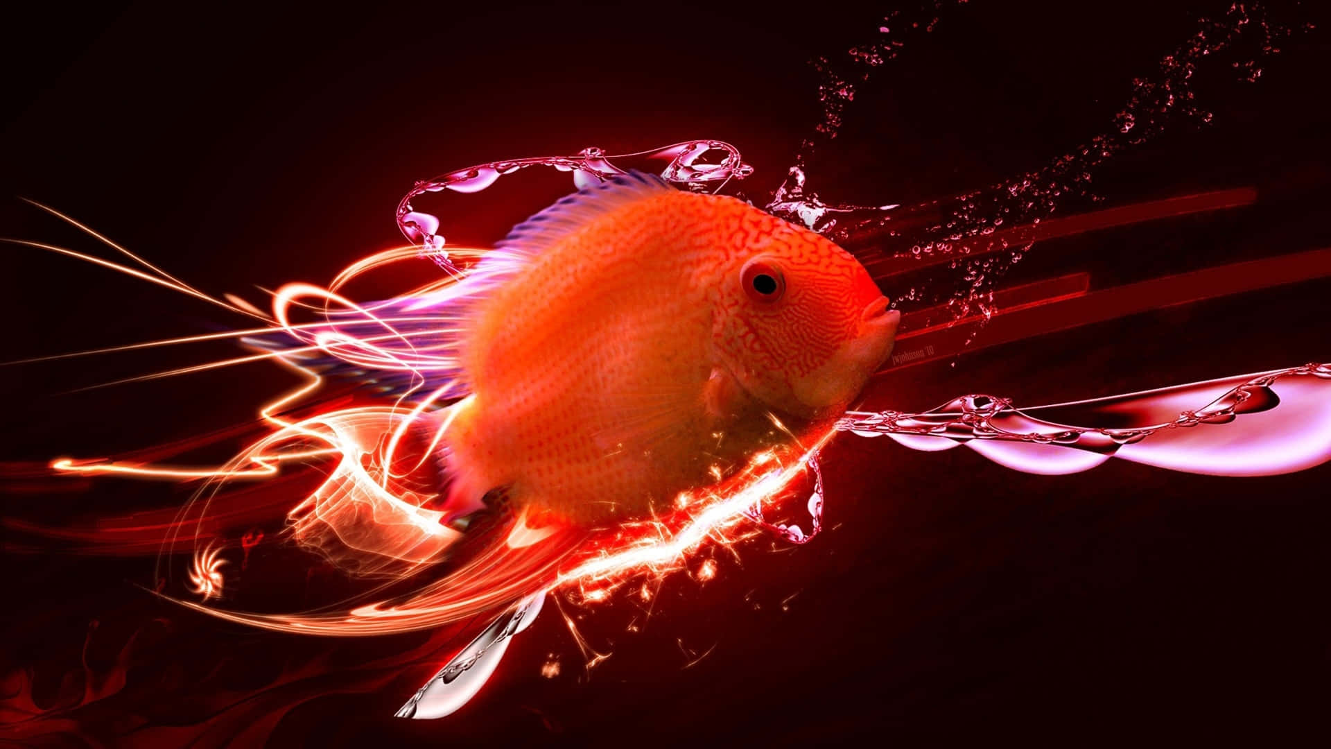 Red Snapper, vibrant orange fish, glowing red water, Full HD Desktop Wallpaper