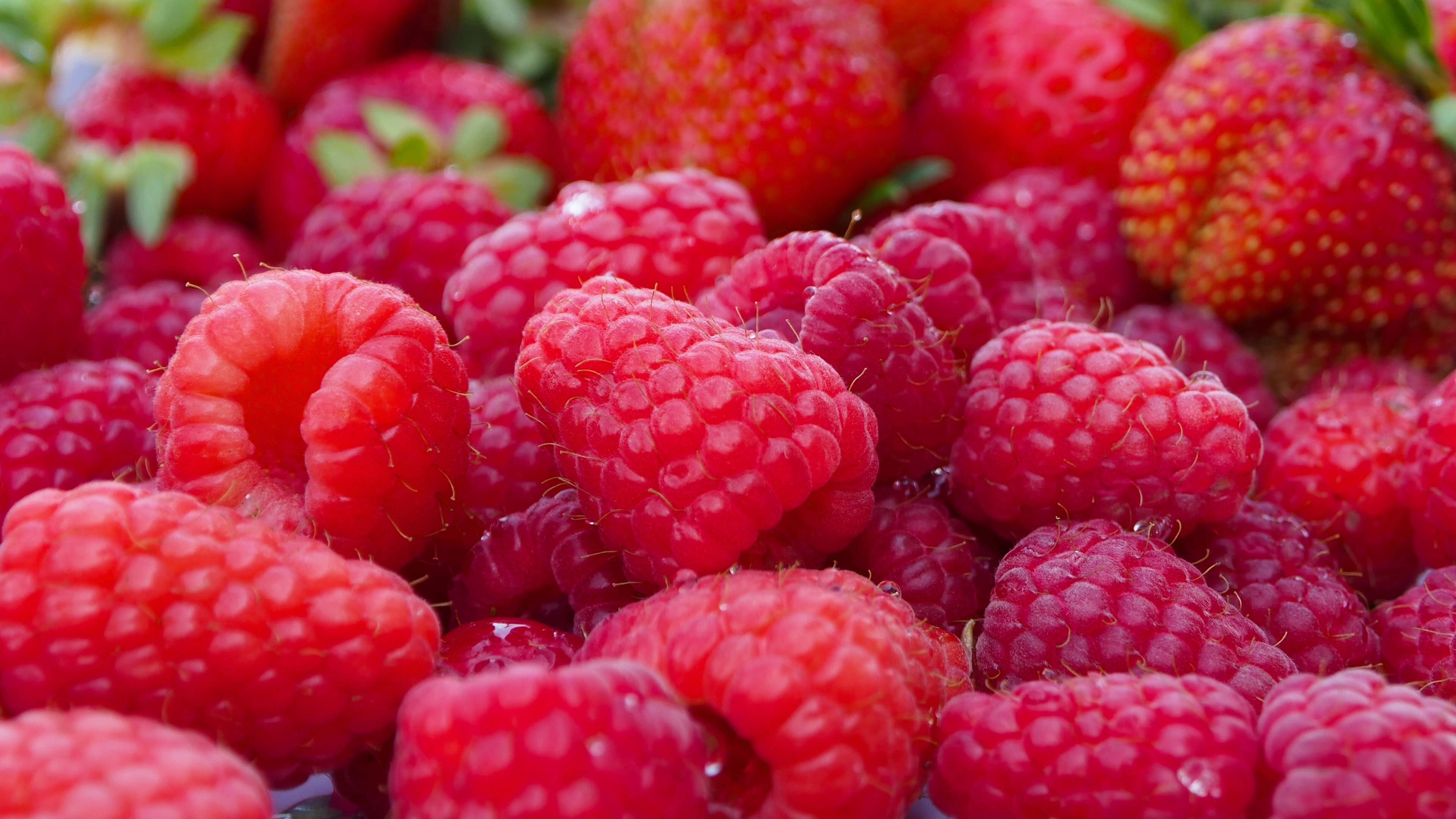 red raspberries, strawberry, dew, 4K Desktop Wallpaper