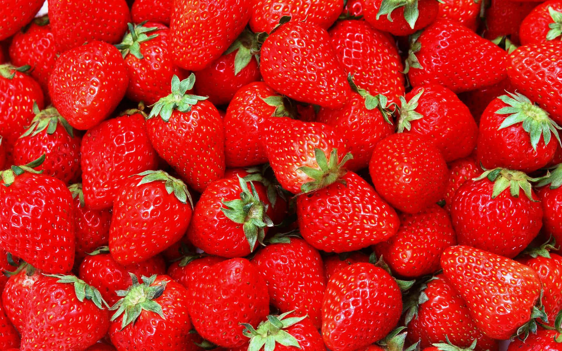 Red Strawberry, plump ripe strawberries, green tops, Full HD Desktop Wallpaper