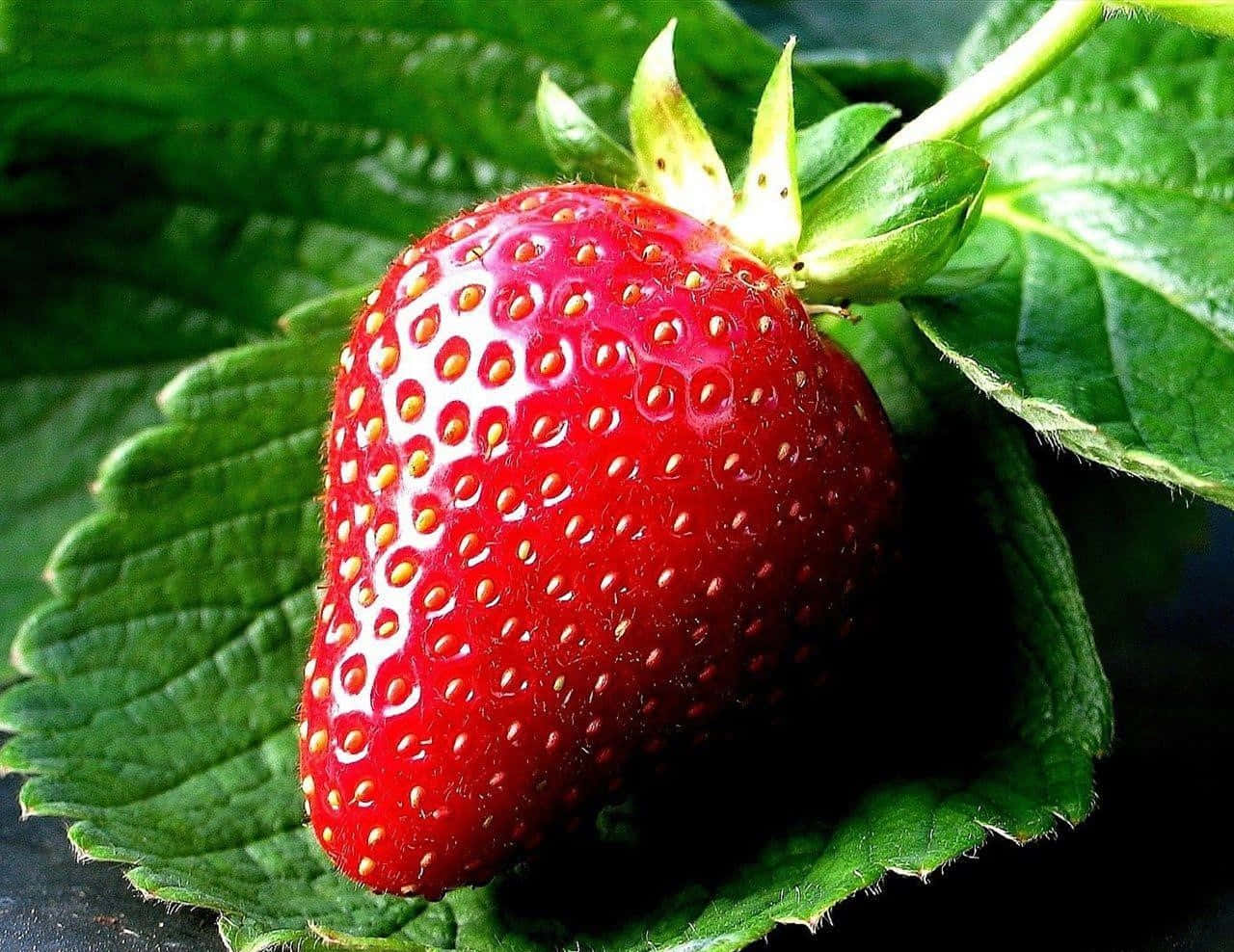 Red Strawberry, vibrant red, tiny seeds, HD Desktop Wallpaper