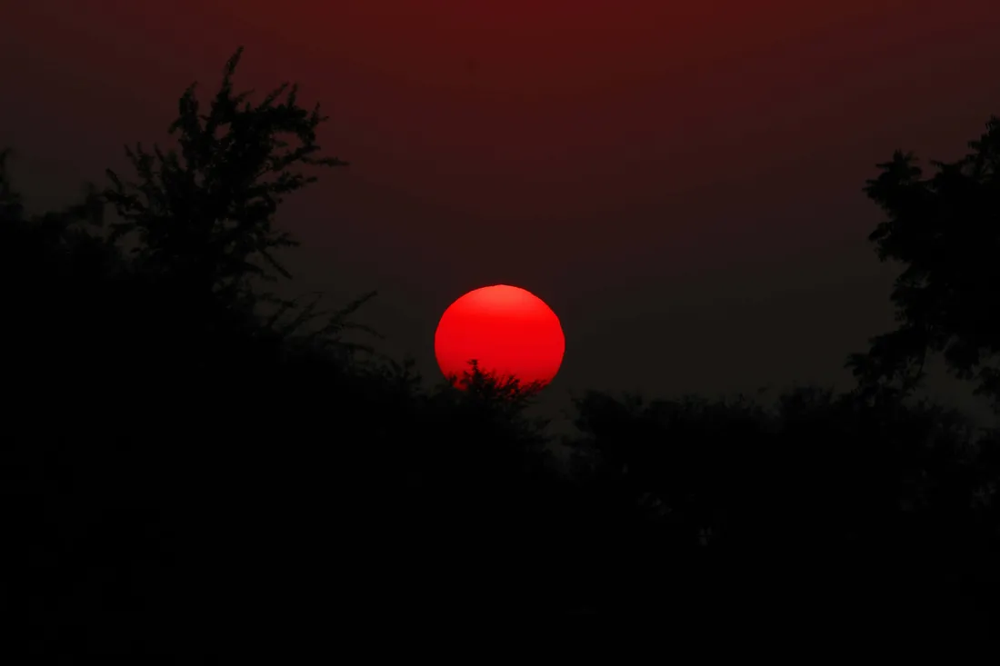 Red Sunset