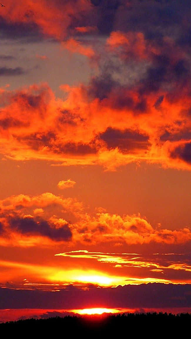 Red Sunset, cloud, fiery sunset, SD Phone Wallpaper