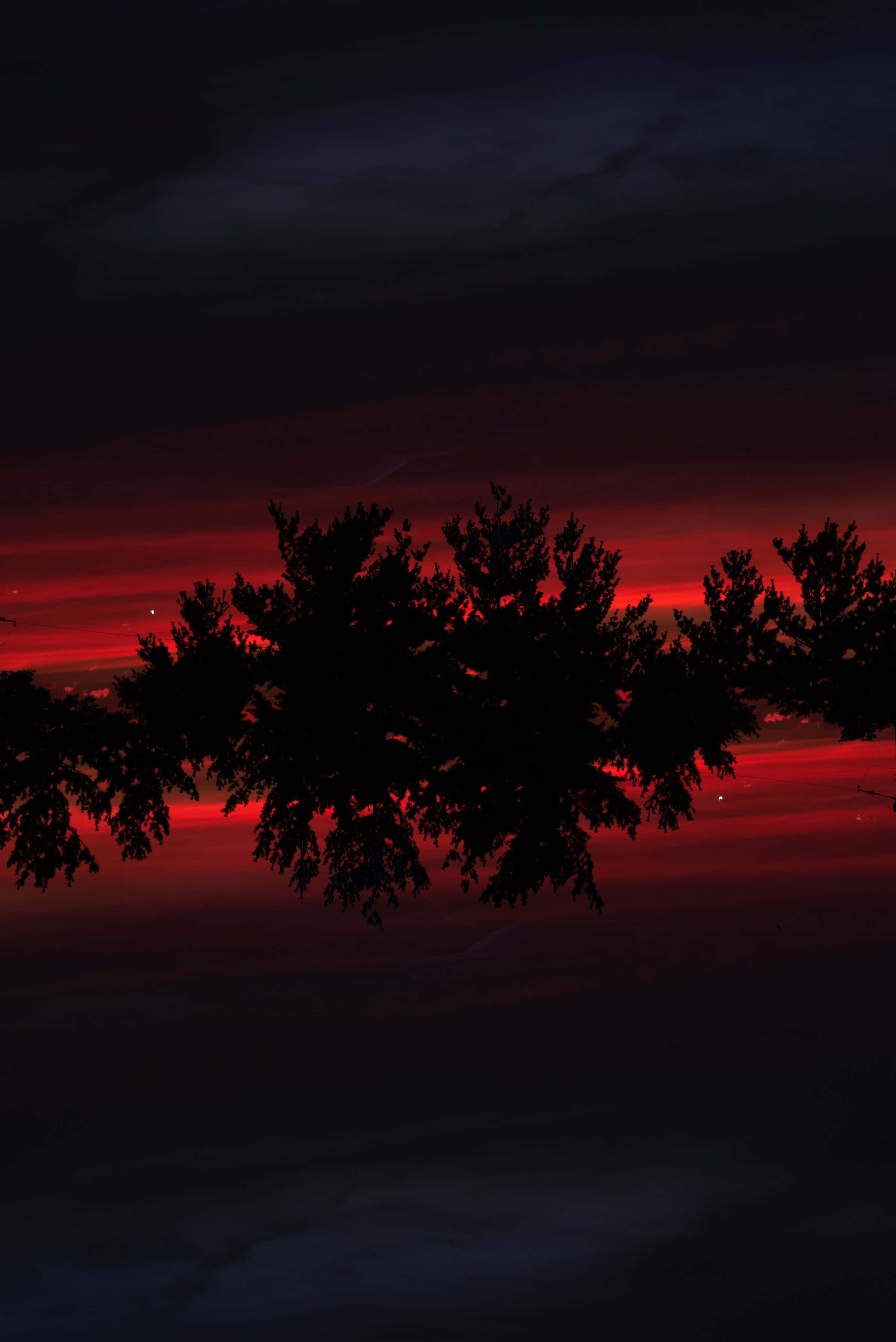 Red Sunset, red and black sunset, silhouetted tree branches, 2K Phone Wallpaper