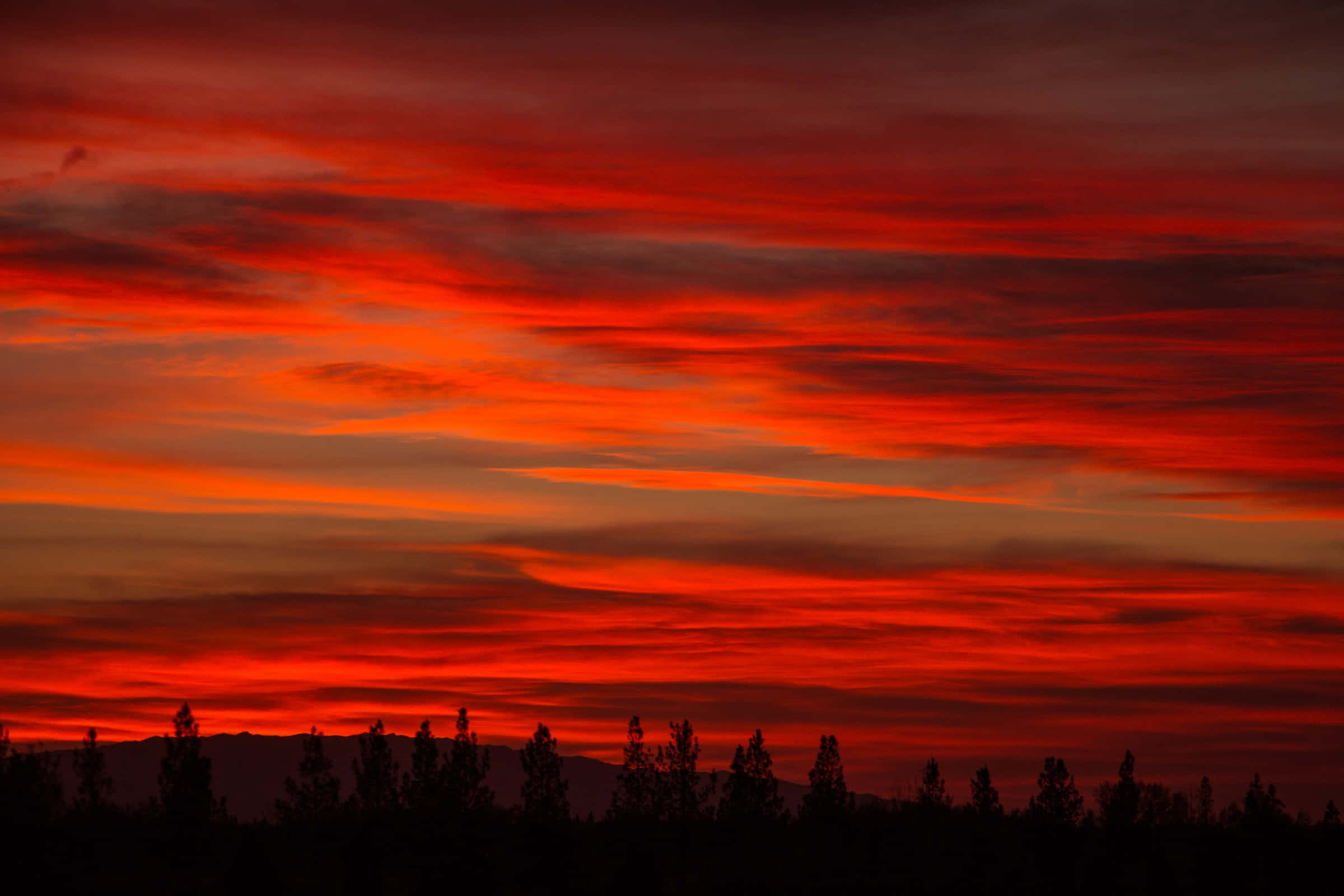 red sunset, horizon, vivid reds, Full HD Desktop Wallpaper