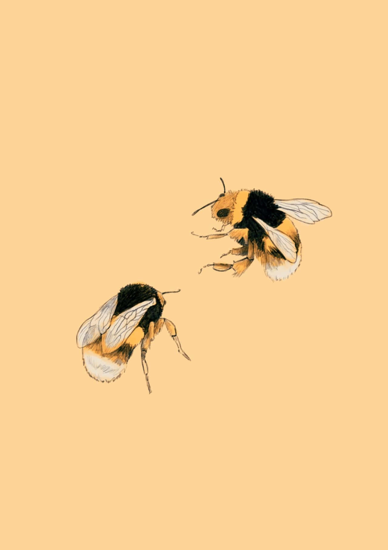 Vintage Bumblebee, bumblebees, flight, HD Phone Wallpaper