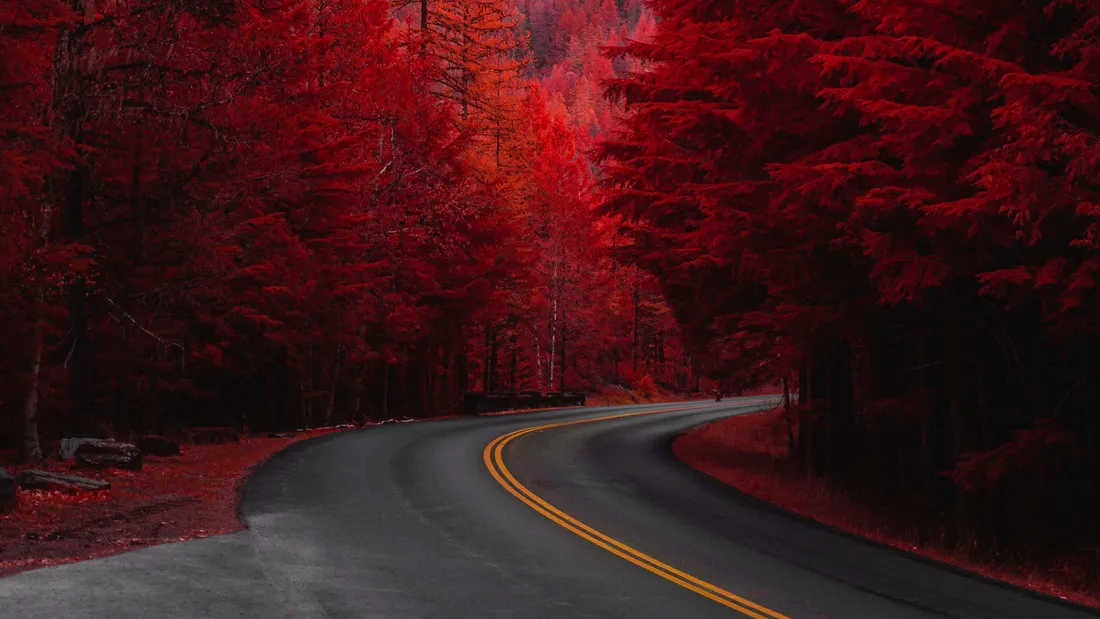 Red Tree